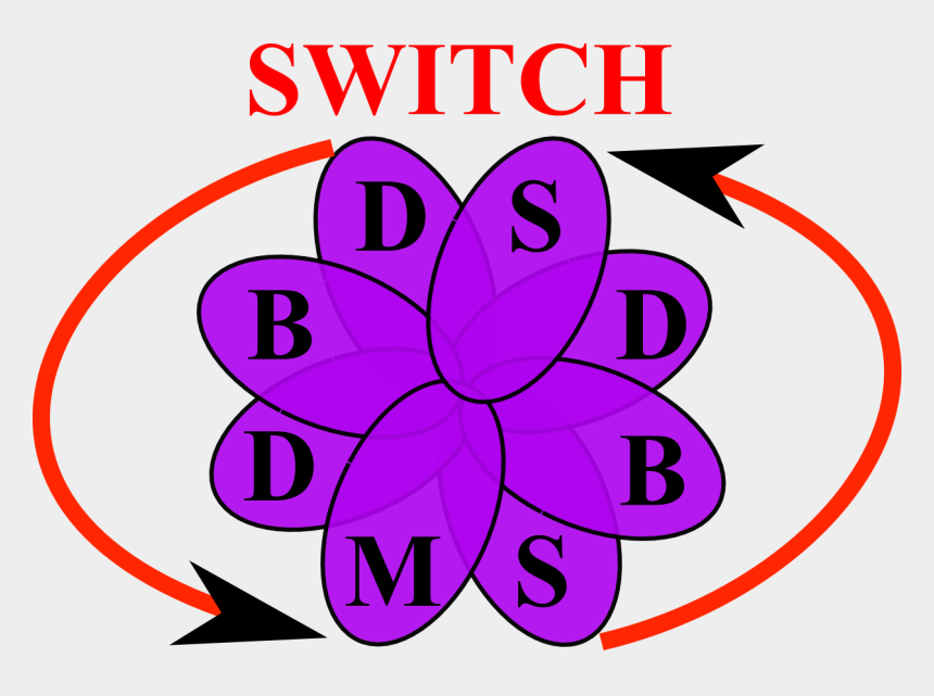 Switch Hit